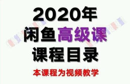 懒觉猫闲鱼初级课程+高级课程：教你60秒选出日赚300元闲鱼爆款产品，新手也可以月入过万