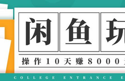 龟课·闲鱼项目玩法实战班第12期，操作10天左右利润有8000元细节玩法