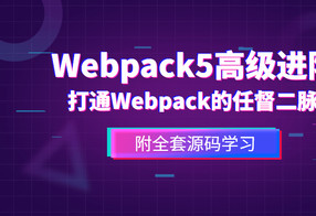 前端Webpack5高级进阶