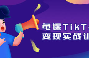 龟课TikTok变现实战训练营