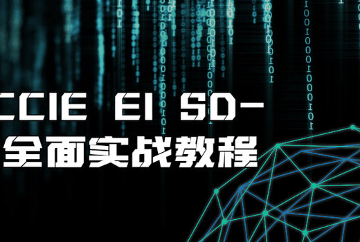 思科CCIE EI SD-WAN全面实战教程